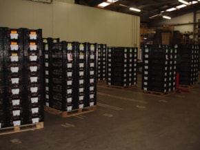 Pallets with bulbs